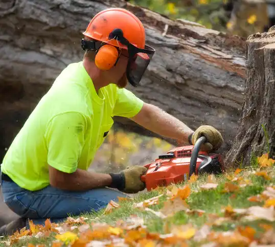 tree services Wakefield